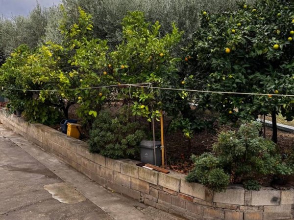 casa indipendente in vendita ad Ortona in zona Casone