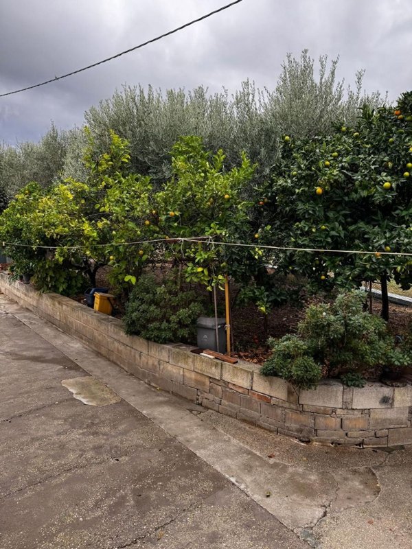 casa indipendente in vendita ad Ortona in zona Casone