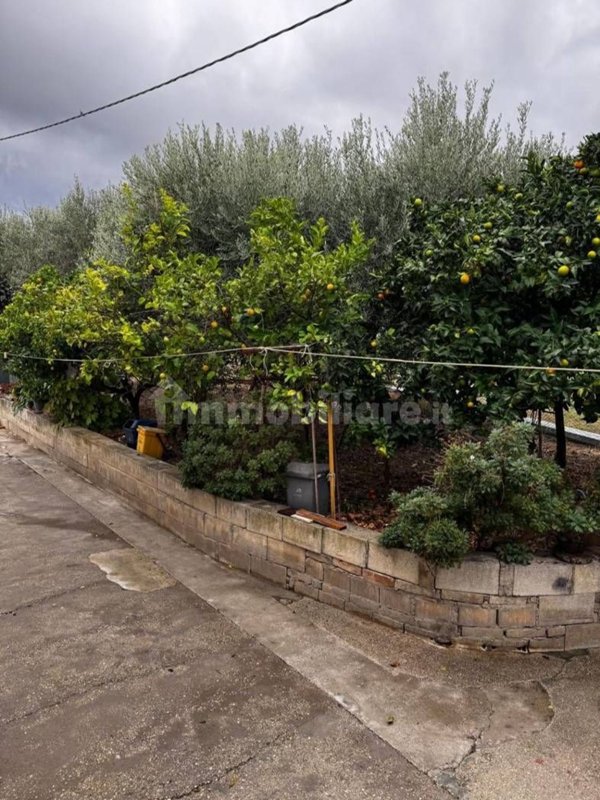 casa indipendente in vendita ad Ortona in zona Casone