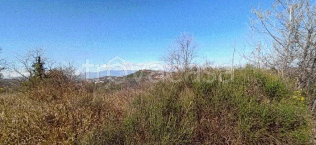 terreno agricolo in vendita ad Ortona