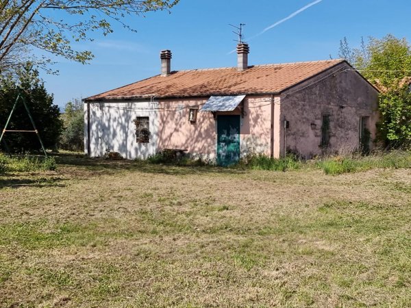 esavano in vendita ad Ortona in zona Cappellini