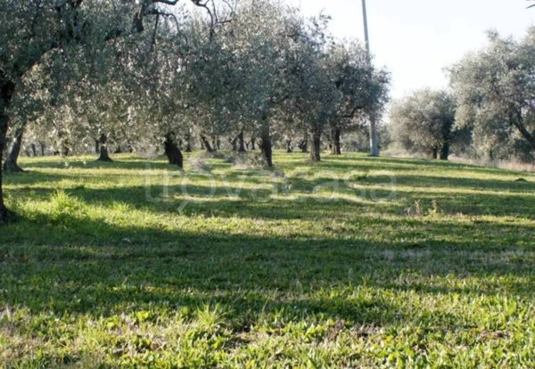 quadrivano in vendita ad Ortona in zona Cappellini