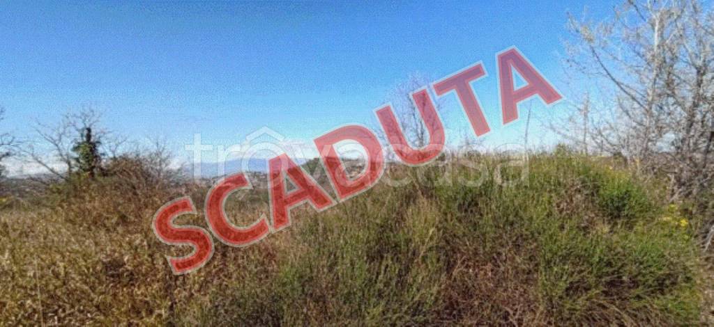 terreno agricolo in vendita ad Ortona