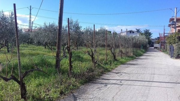 terreno agricolo in vendita ad Ortona in zona Villa San Leonardo