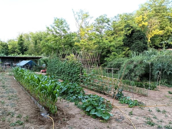 terreno agricolo in vendita ad Ortona