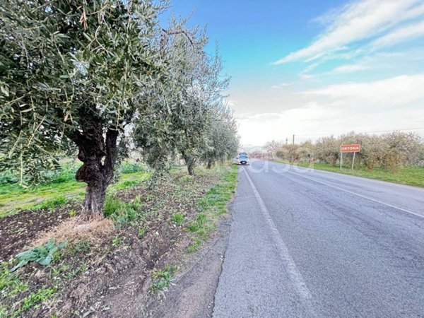 terreno agricolo in vendita ad Ortona in zona Caldari