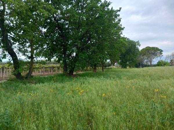 appartamento in vendita ad Ortona in zona Lido Riccio