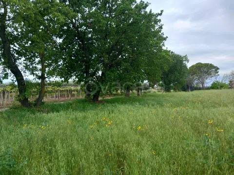 appartamento in vendita ad Ortona in zona Lido Riccio