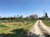 terreno agricolo in vendita ad Ortona