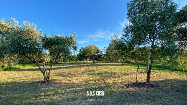 terreno in vendita ad Ortona in zona Ripari di Giobbe