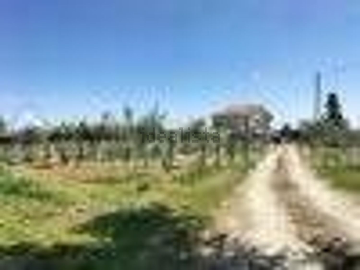 terreno agricolo in vendita ad Ortona