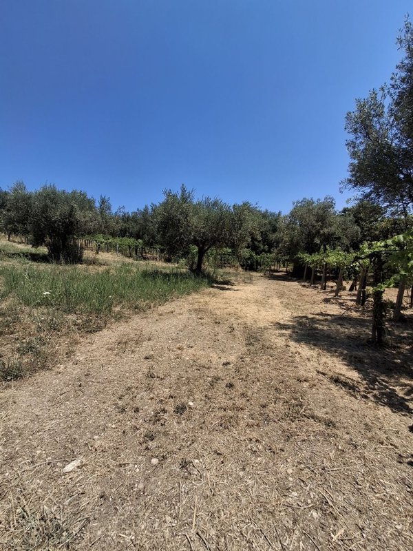 terreno edificabile in vendita ad Ortona