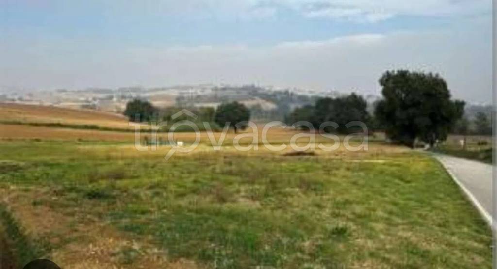 terreno agricolo in vendita ad Ortona in zona San Marco