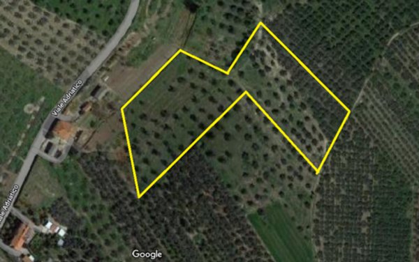 terreno agricolo in vendita a Paglieta