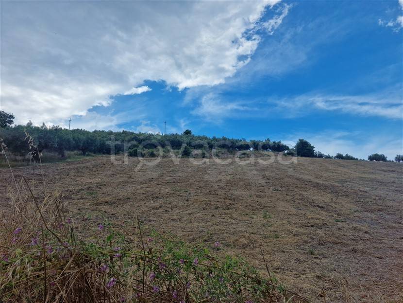 terreno agricolo in vendita a Paglieta in zona Ranco