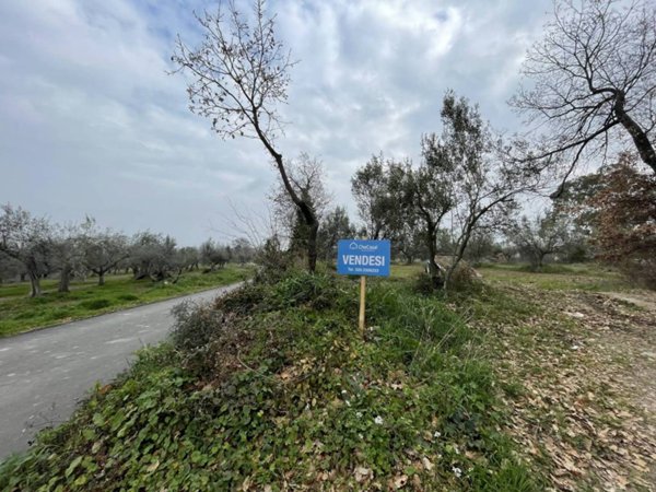 terreno agricolo in vendita a Paglieta