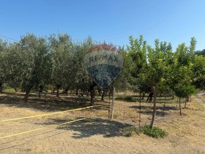 ufficio in vendita a Paglieta