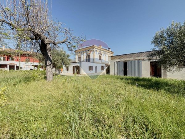 terreno agricolo in vendita a Paglieta
