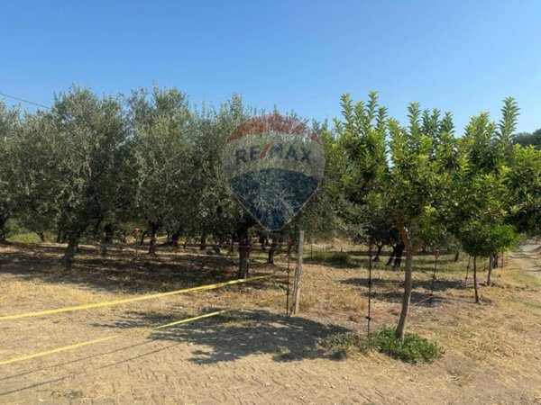 ufficio in vendita a Paglieta