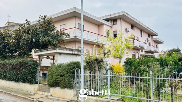 appartamento in vendita a Paglieta