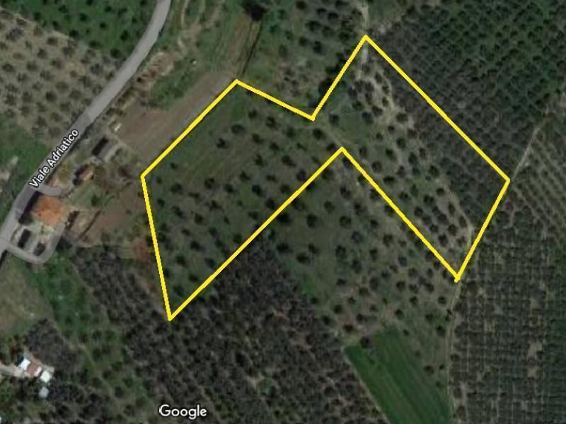 terreno agricolo in vendita a Paglieta