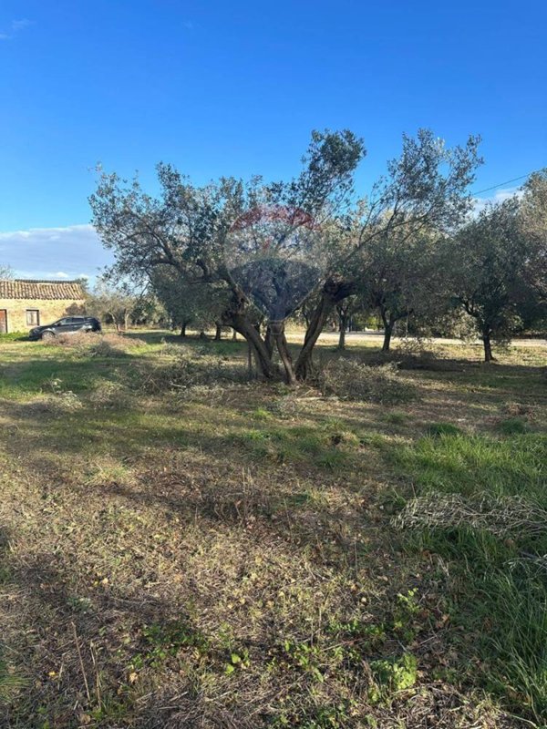 casa indipendente in vendita a Paglieta