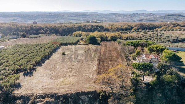 terreno agricolo in vendita a Paglieta