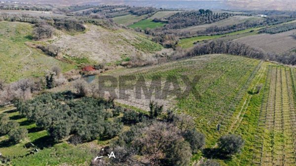 casa indipendente in vendita a Paglieta