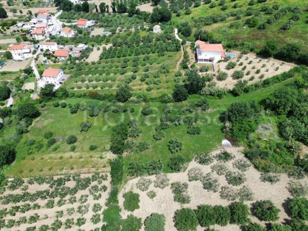 terreno agricolo in vendita a Paglieta