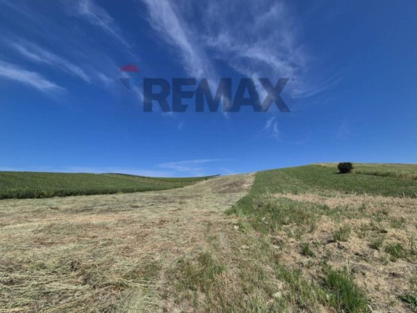 terreno agricolo in vendita a Paglieta