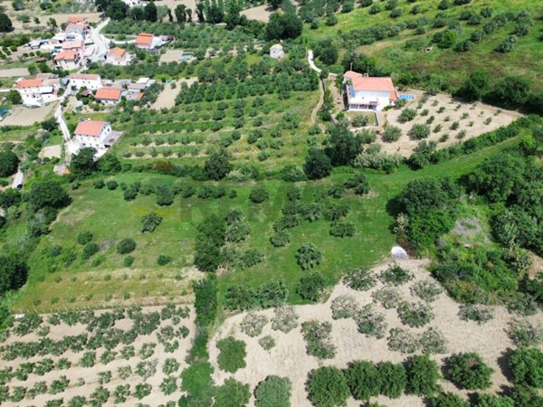 terreno agricolo in vendita a Paglieta