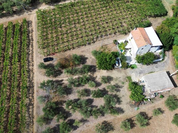 casa indipendente in vendita a Paglieta