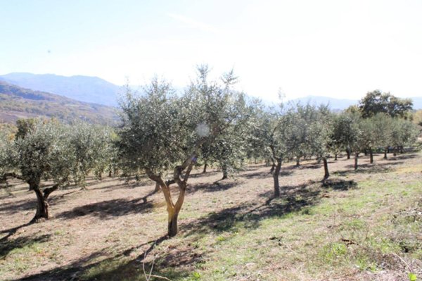 casa indipendente in vendita a Palmoli