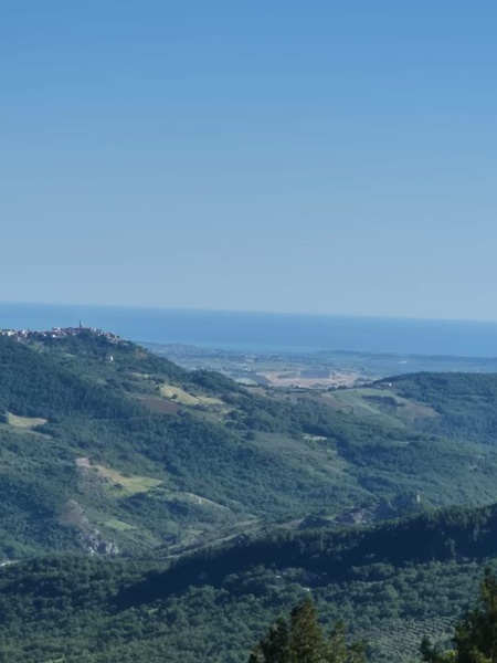 casa indipendente in vendita a Palmoli