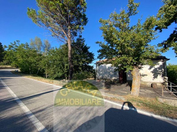 casa indipendente in vendita a Palmoli