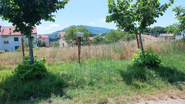 villa in vendita a Palmoli in zona Fontelacasa