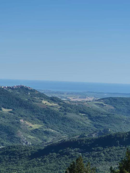 casa indipendente in vendita a Palmoli