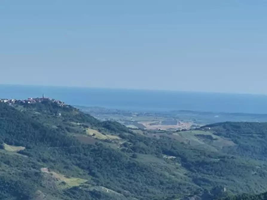casa indipendente in vendita a Palmoli