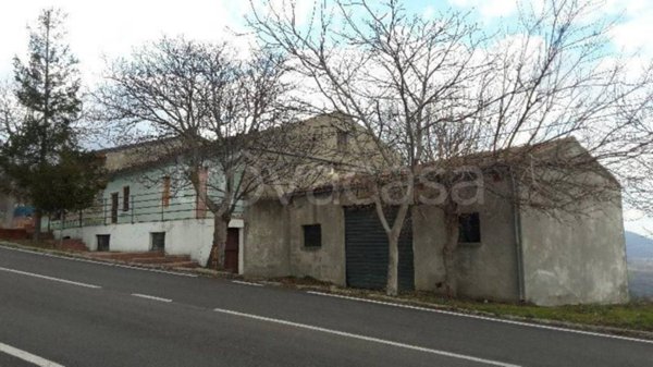 casa indipendente in vendita a Palmoli