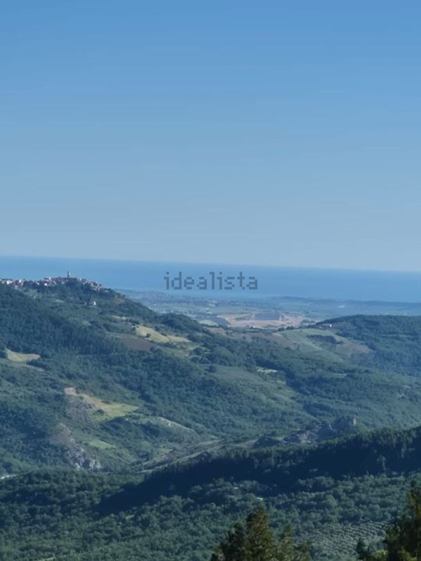 pentavano in vendita a Palmoli