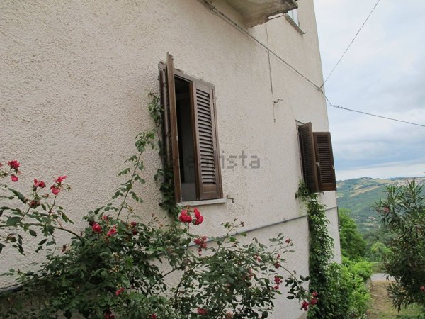 immagine annuncio 0 di 1