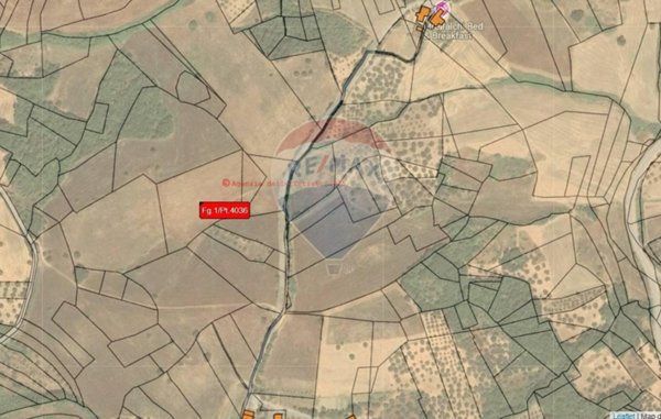 terreno agricolo in vendita a Pennadomo