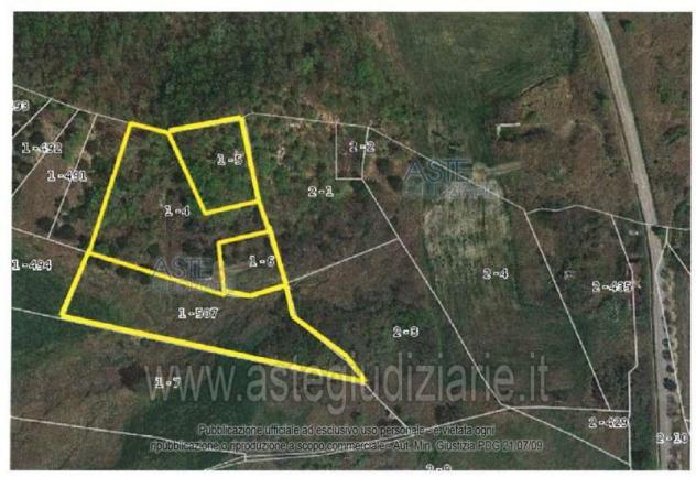 terreno agricolo in vendita a Pennadomo