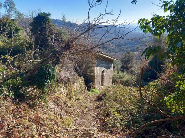 casa indipendente in vendita a Pennapiedimonte