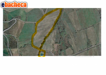 terreno agricolo in vendita a Pollutri