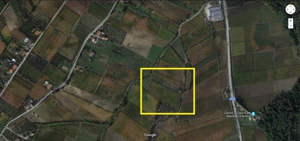 terreno agricolo in vendita a Pollutri
