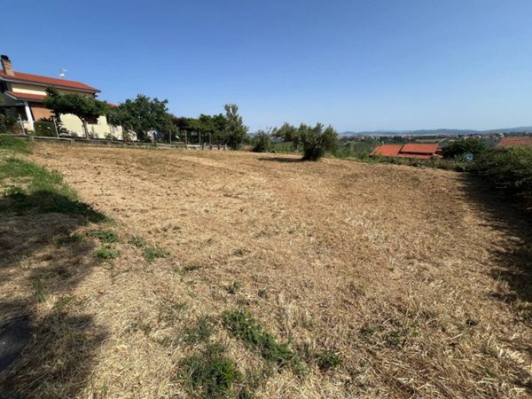 terreno agricolo in vendita a Pollutri