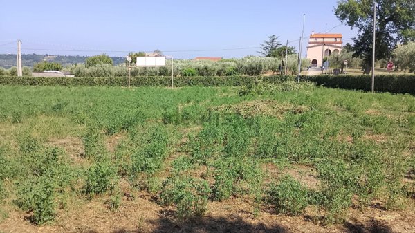 casa indipendente in vendita a Pollutri in zona Piano Croce