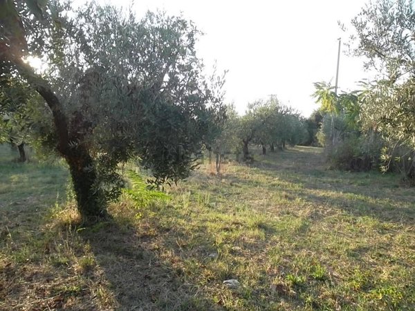 casa indipendente in vendita a Pollutri in zona San Barbato
