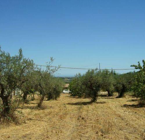 terreno agricolo in vendita a Pollutri in zona Piano Croce